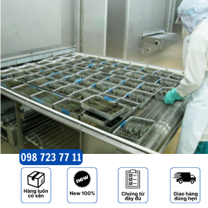 băng chuyền iqf dạng lưới