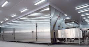 băng chuyền cấp đông