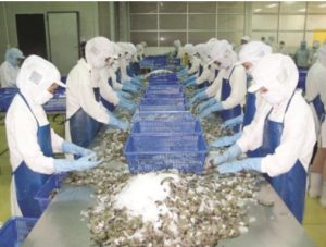 mua máy nén lạnh công nghiệp cũ