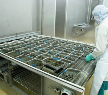 Băng chuyền iqf dạng lưới