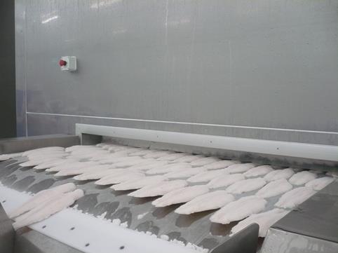 băng chuyền iqf dạng phẳng