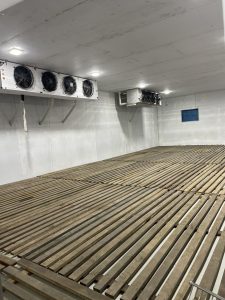 kho đông lạnh sầu riêng