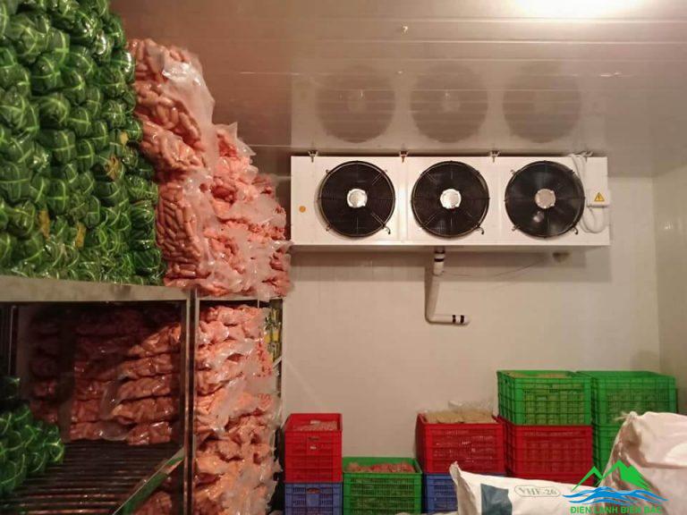 kho lạnh bảo quản thịt bò