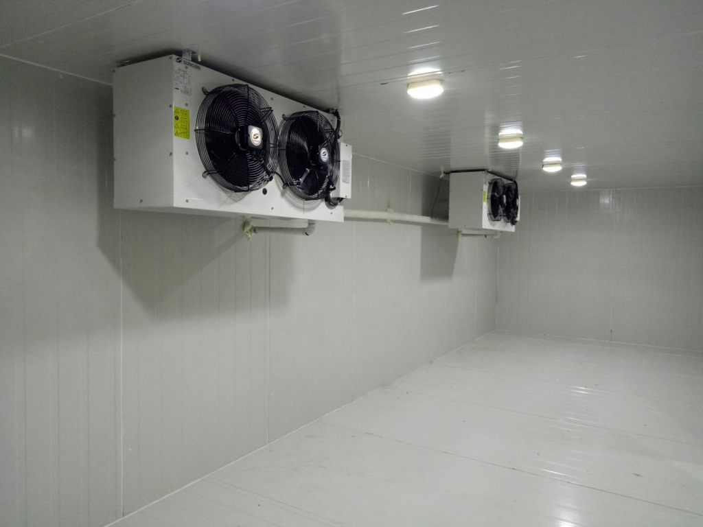 kho lạnh bảo quản tôm