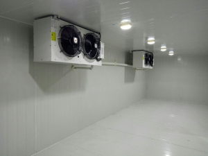 kho lạnh bảo quản tôm