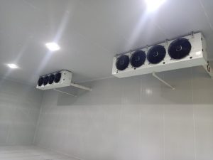 kho mát bảo quản nông sản (2)