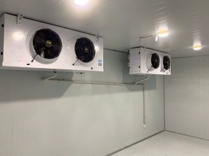 kho lạnh bảo quản kem