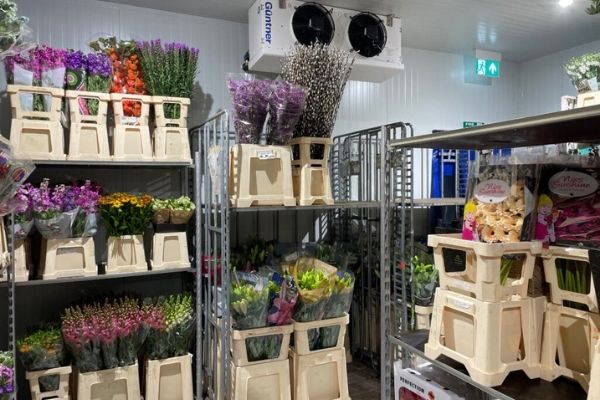 kho lạnh hoa tươi