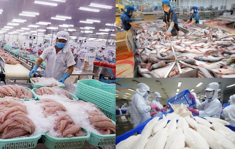 Kho đông lạnh hải sản 1