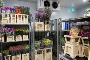 Kho lạnh bảo quản hoa tươi