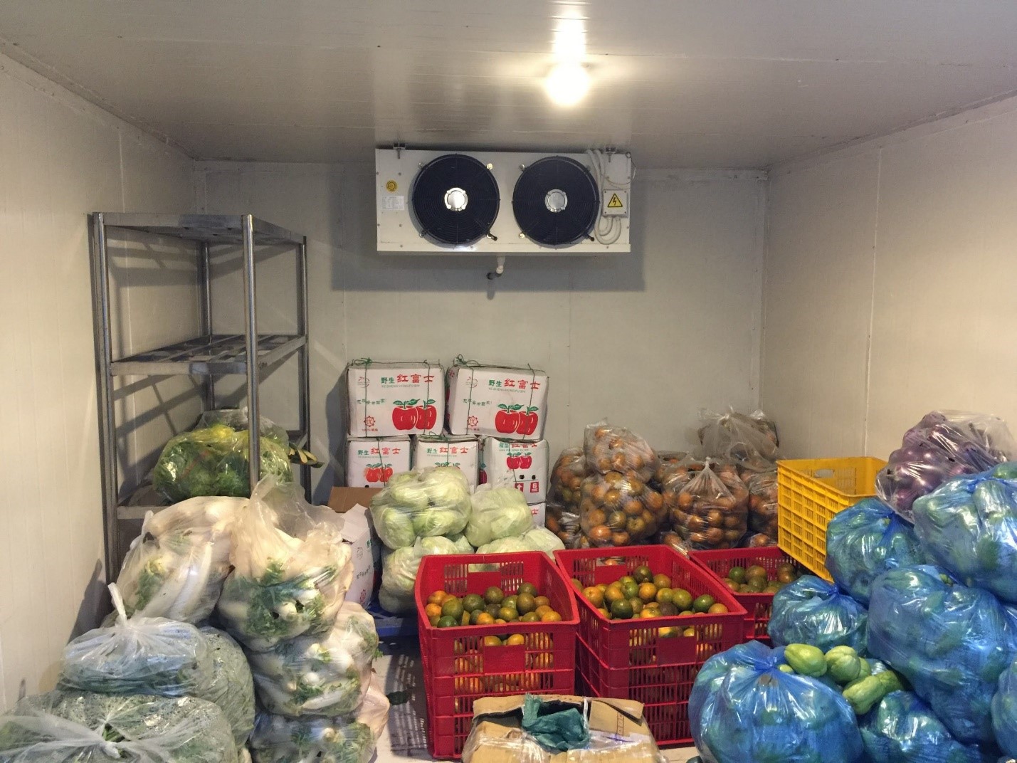 thiết kế kho lạnh bảo quản thực phẩm